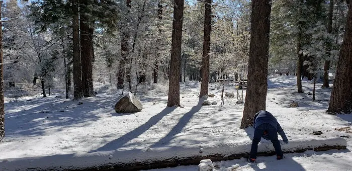 Pineknot Campground Picture 1