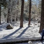 Pineknot Campground