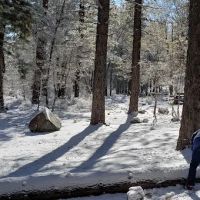 Pineknot Campground ico