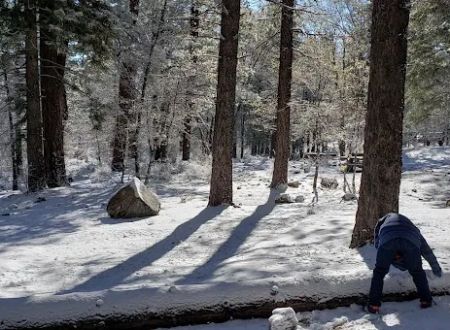 Pineknot Campground