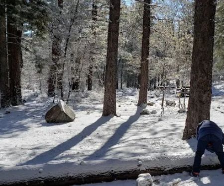 Pineknot Campground
