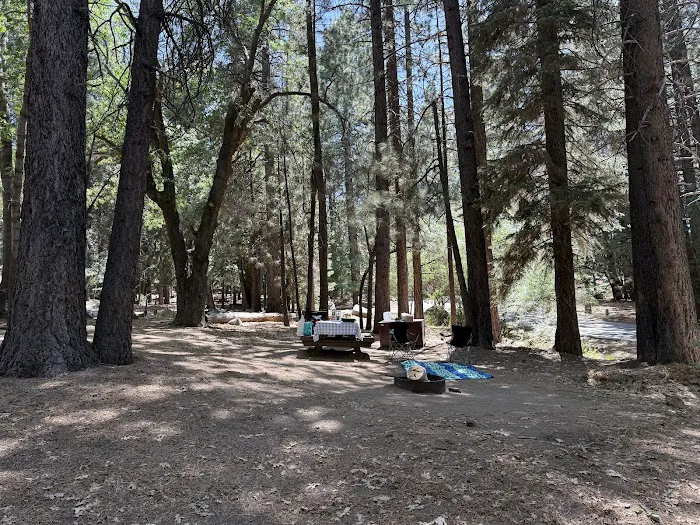 Pineknot Campground Picture 10