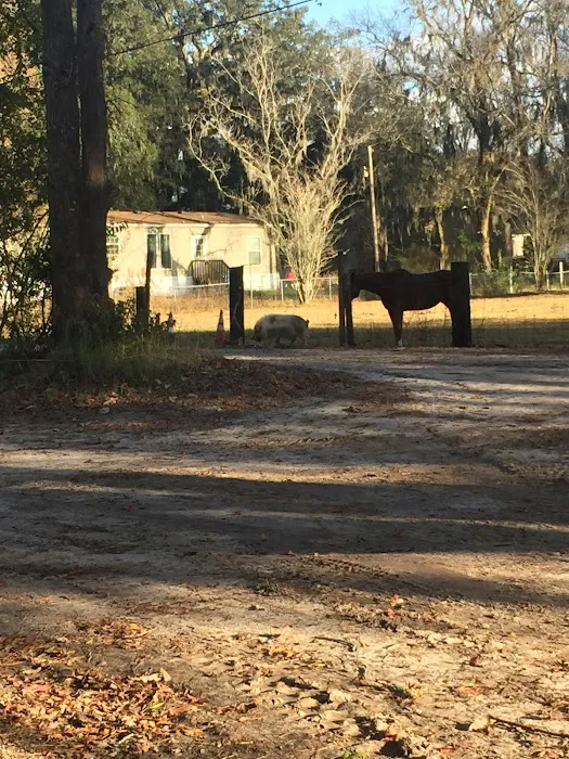 Thompson Mill RV Park Picture 1