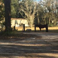 Thompson Mill RV Park ico