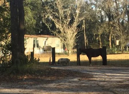 Thompson Mill RV Park