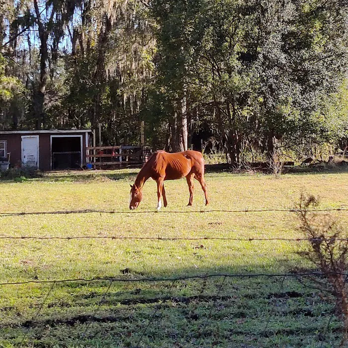 Thompson Mill RV Park Picture 6