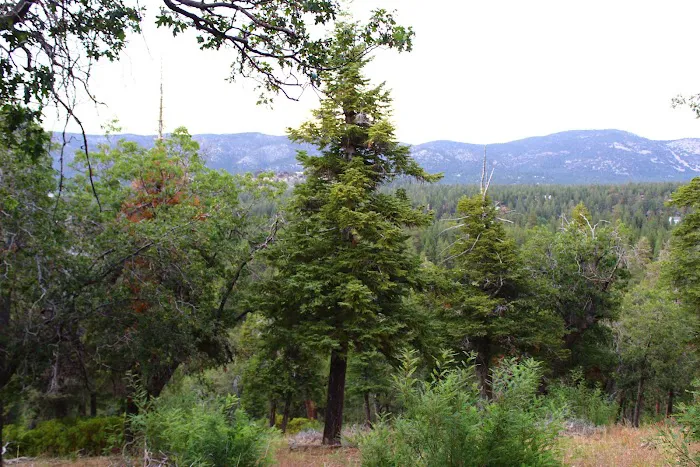 MCCS Big Bear Recreational Facility Picture 3
