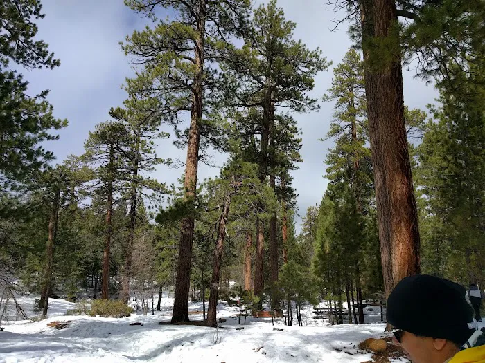 MCCS Big Bear Recreational Facility Picture 1