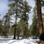 MCCS Big Bear Recreational Facility