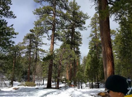 MCCS Big Bear Recreational Facility