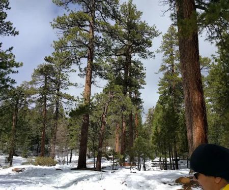 MCCS Big Bear Recreational Facility