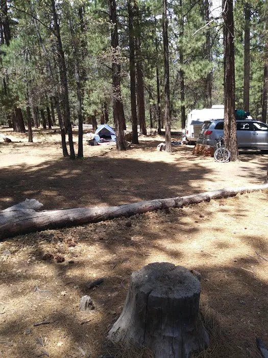 Buttercup Group Campground Picture 3