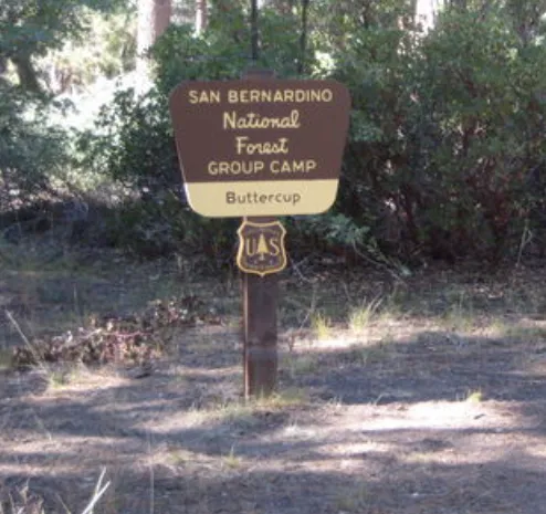 Buttercup Group Campground Picture 6