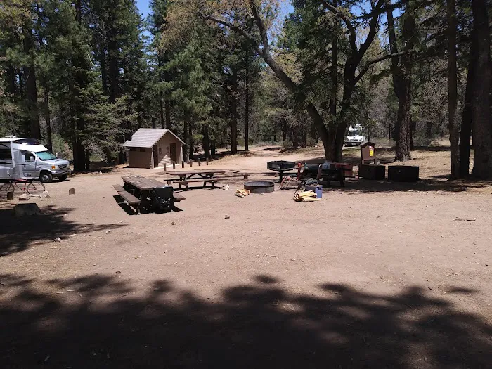 Buttercup Group Campground Picture 2