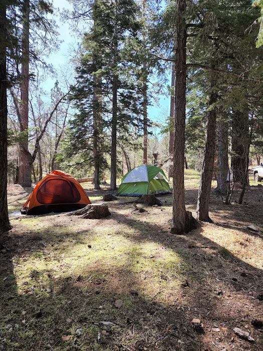 Buttercup Group Campground Picture 4