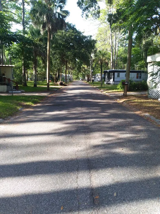 Silver Thunderbird Mobile Home Park Picture 6