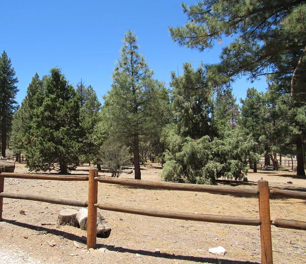 Sky Ranch in Big Bear Picture 8