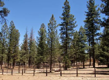 Sky Ranch in Big Bear