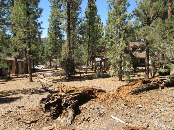 Sky Ranch in Big Bear Picture 4