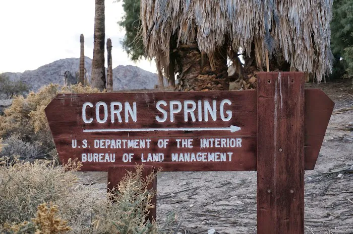 Corn Spring Campground Picture 2