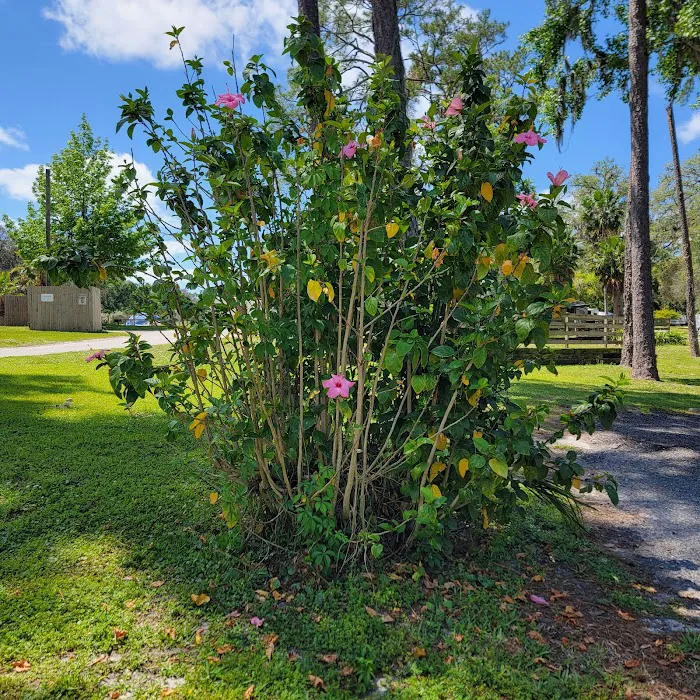 Cherry Blossom RV Resort Picture 9