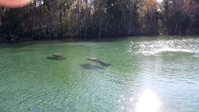 Rivers Edge RV Park Picture 2
