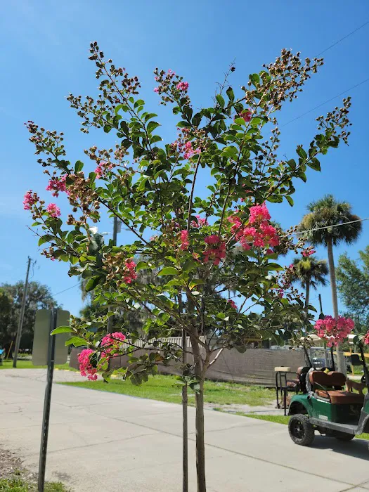 Port Cove RV Resort and Marina Picture 7