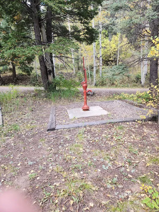 Spruce Group Campsite Picture 5