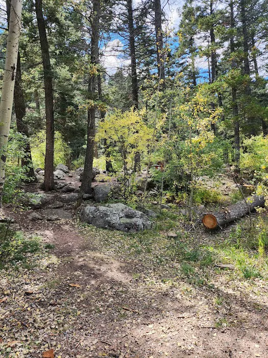 Spruce Group Campsite Picture 2