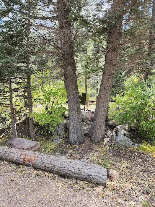 Spruce Group Campsite Picture 6