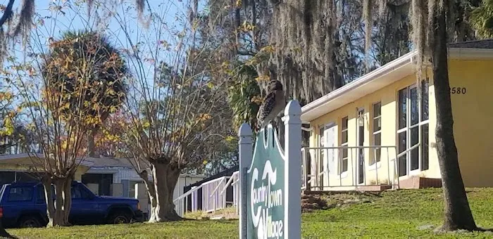 Country Town Village Picture 4