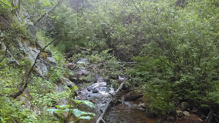Ponderosa Group Campground Picture 2