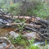 Ponderosa Group Campground ico