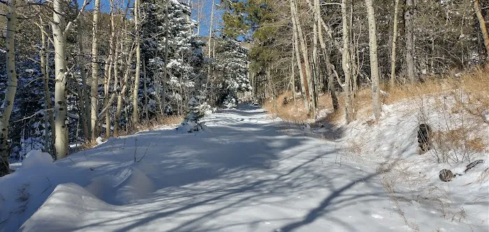 Ponderosa Group Campground Picture 3