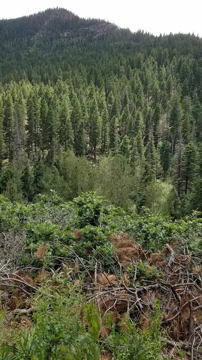 Ponderosa Group Campground Picture 4