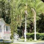 Serenity Oaks