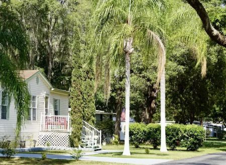 Serenity Oaks