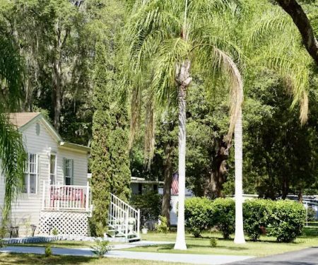 Serenity Oaks