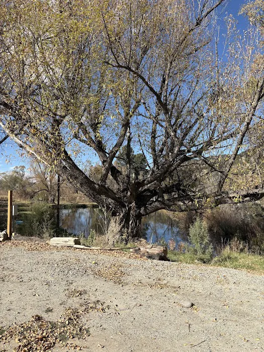 Twin Bridges Campground Picture 8