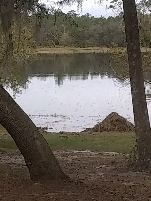 TallTimbers RV Park Picture 10