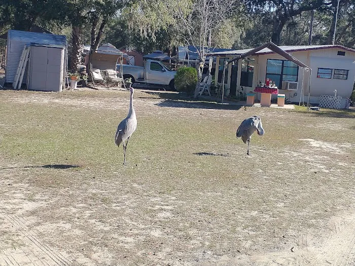 TallTimbers RV Park Picture 7