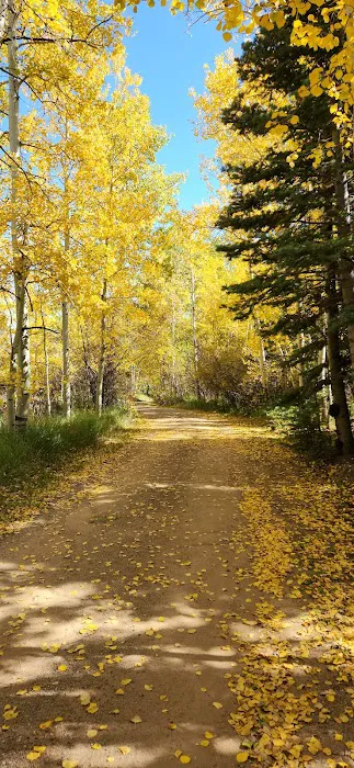 Lake Creek Campground Picture 6