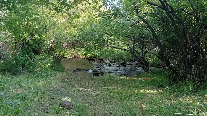 Lake Creek Campground Picture 2
