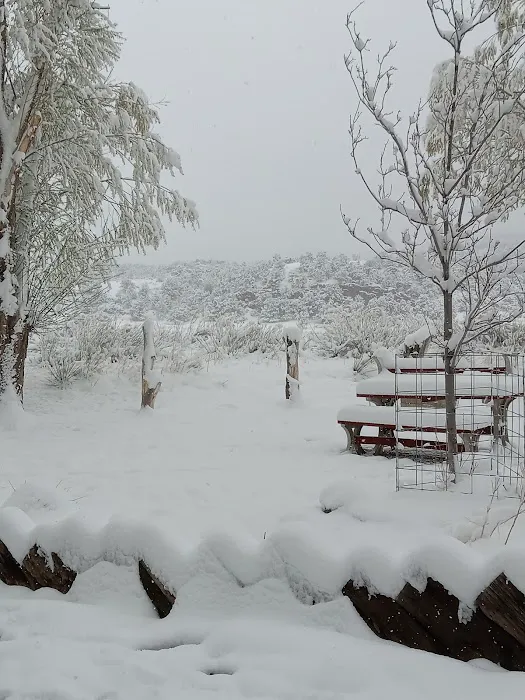 Pleasant Valley RV Park Picture 1
