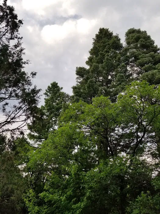 Hayden Creek Campground Picture 9