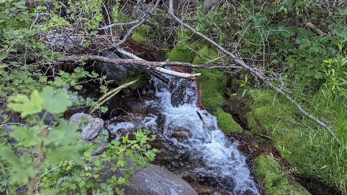 Hayden Creek Campground Picture 3