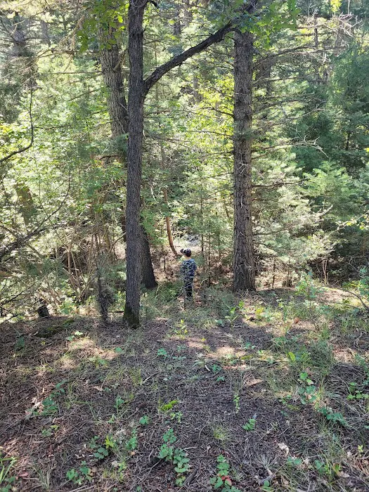 Hayden Creek Campground Picture 10