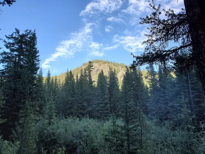 Gold Creek Campground - Gunnison RD Picture 2