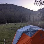 Gold Creek Campground - Gunnison RD