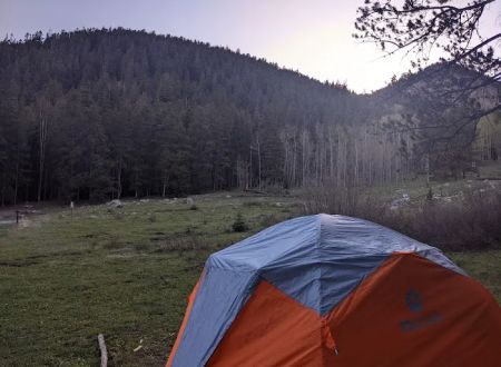 Gold Creek Campground - Gunnison RD